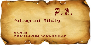 Pellegrini Mihály névjegykártya